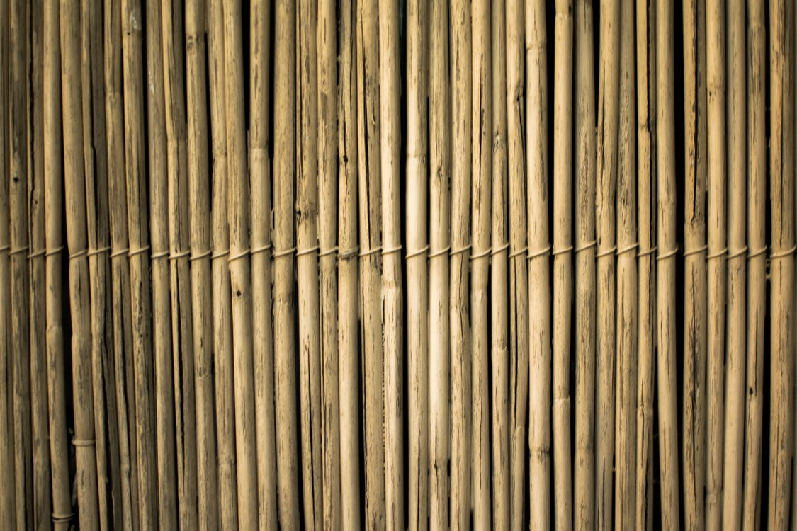 Brown bamboos